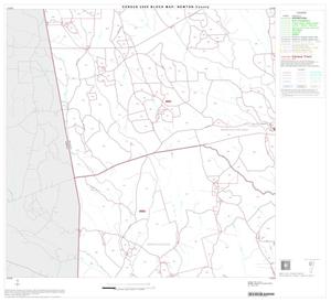 Primary view of object titled '2000 Census County Block Map: Newton County, Block 3'.
