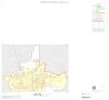 Map: 2000 Census County Block Map: Young County, Inset C01