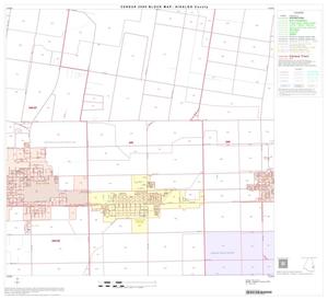 2000 Census County Block Map: Hidalgo County, Block 62