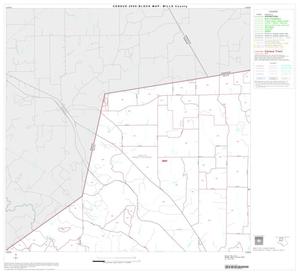 Primary view of object titled '2000 Census County Block Map: Mills County, Block 2'.