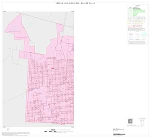 2000 Census County Block Map: Waller County, Inset A01