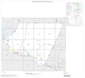 2000 Census County Block Map: Starr County, Index