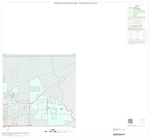2000 Census County Block Map: Guadalupe County, Inset A02