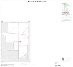 Primary view of object titled '2000 Census County Block Map: Gaines County, Inset A01'.