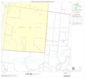 2000 Census County Block Map: Cameron County, Block 30