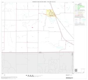 2000 Census County Block Map: Taylor County, Block 24
