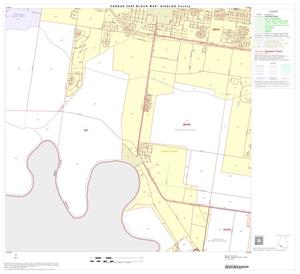 2000 Census County Block Map: Hidalgo County, Block 76