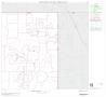 Thumbnail image of item number 1 in: '2000 Census County Block Map: Runnels County, Block 4'.