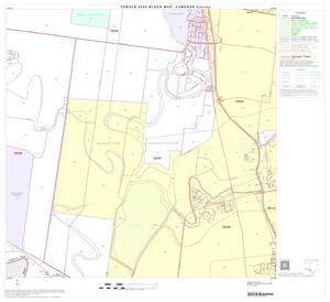 2000 Census County Block Map: Cameron County, Block 58