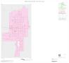 Map: 2000 Census County Block Map: Palo Pinto County, Inset E01