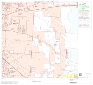 2000 Census County Block Map: Denton County, Block 29