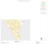 Map: 2000 Census County Block Map: Young County, Inset C02