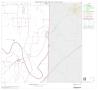 Map: 2000 Census County Block Map: Palo Pinto County, Block 12
