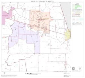 2000 Census County Block Map: Waller County, Block 5