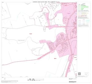 2000 Census County Block Map: Williamson County, Block 40