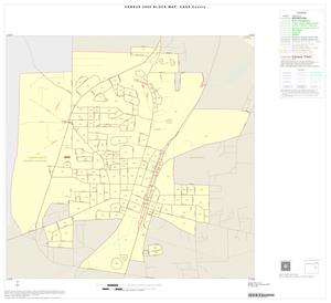 2000 Census County Block Map: Cass County, Inset D01