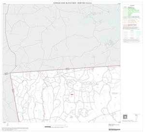 2000 Census County Block Map: Newton County, Block 1