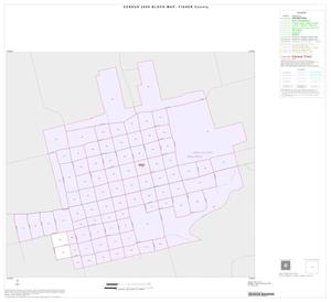 Primary view of object titled '2000 Census County Block Map: Fisher County, Inset C01'.