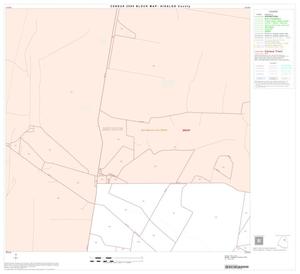 2000 Census County Block Map: Hidalgo County, Block 24
