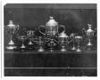 Photograph: Farwell Dog Trophies