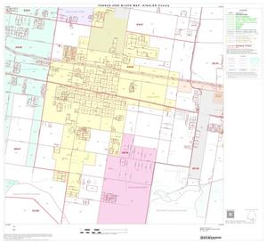 2000 Census County Block Map: Hidalgo County, Block 79