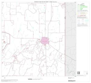 Primary view of object titled '2000 Census County Block Map: Coke County, Block 6'.