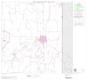 Thumbnail image of item number 1 in: '2000 Census County Block Map: Coke County, Block 6'.