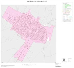 2000 Census County Block Map: Runnels County, Inset B01