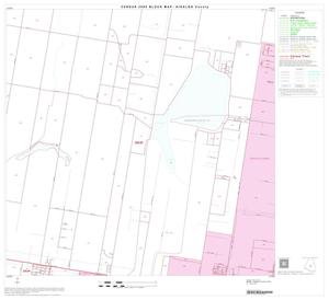 2000 Census County Block Map: Hidalgo County, Block 49