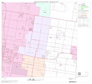 2000 Census County Block Map: Hidalgo County, Block 60