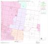 Map: 2000 Census County Block Map: Hidalgo County, Block 60