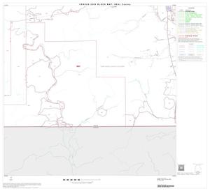 2000 Census County Block Map: Real County, Block 11
