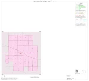 2000 Census County Block Map: Webb County, Inset D01