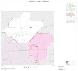 2000 Census County Block Map: Parker County, Inset B01