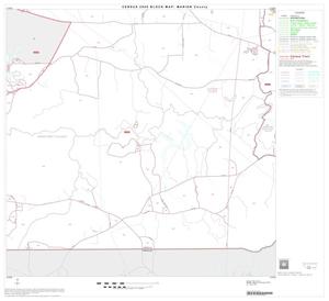 Primary view of object titled '2000 Census County Block Map: Marion County, Block 9'.