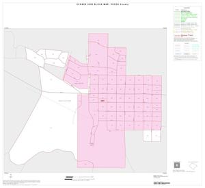 2000 Census County Block Map: Pecos County, Inset G01