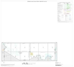 Primary view of object titled '2000 Census County Block Map: Marion County, Index'.