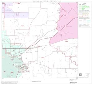 2000 Census County Block Map: Guadalupe County, Block 11