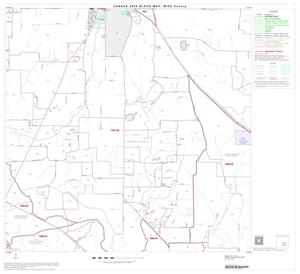 2000 Census County Block Map: Wise County, Block 11