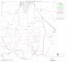 Map: 2000 Census County Block Map: Wise County, Block 11