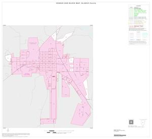 2000 Census County Block Map: Blanco County, Inset A01