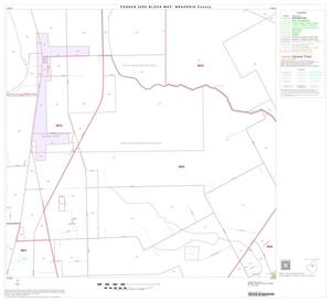 2000 Census County Block Map: Brazoria County, Block 17