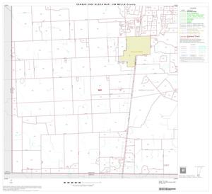 Primary view of object titled '2000 Census County Block Map: Jim Wells County, Block 14'.