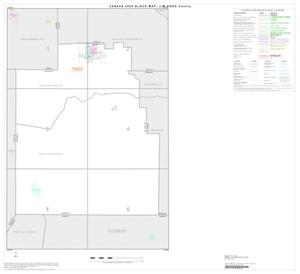 Primary view of object titled '2000 Census County Block Map: Jim Hogg County, Index'.