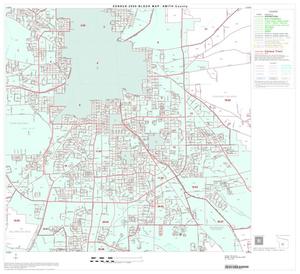 2000 Census County Block Map: Smith County, Block 26