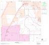 Map: 2000 Census County Block Map: Denton County, Block 36
