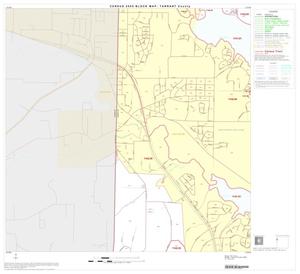 2000 Census County Block Map: Tarrant County, Block 21