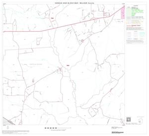 Primary view of object titled '2000 Census County Block Map: Walker County, Block 12'.