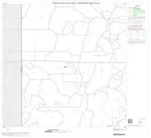 Primary view of object titled '2000 Census County Block Map: Throckmorton County, Block 4'.
