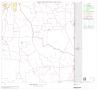 Thumbnail image of item number 1 in: '2000 Census County Block Map: Cass County, Block 12'.